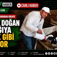 GENEL