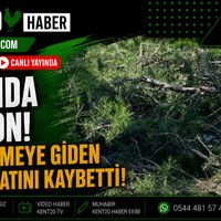 ASAYİŞ