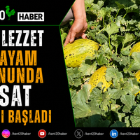 GENEL