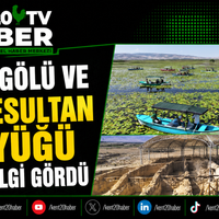 GENEL