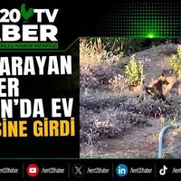 YAŞAM