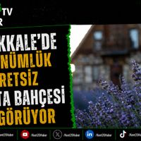 GENEL