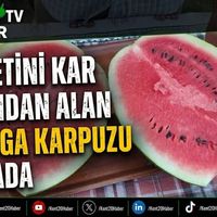 GENEL
