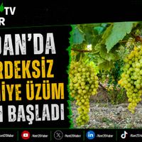 GENEL