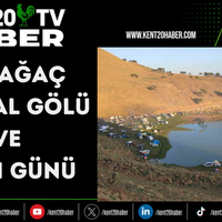 GENEL