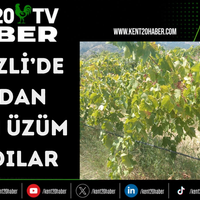 ASAYİŞ