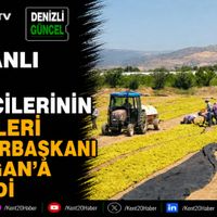 EKONOMİ