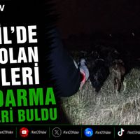 GENEL
