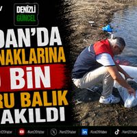 GENEL
