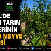 GENEL