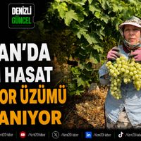 GENEL