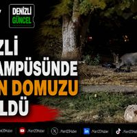 ASAYİŞ