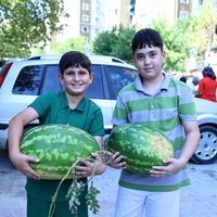 EKONOMİ