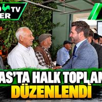 Politika