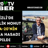 EKONOMİ