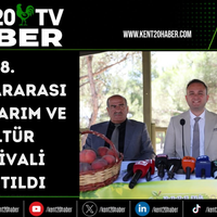 Kültür