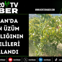 ASAYİŞ