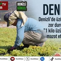 EKONOMİ