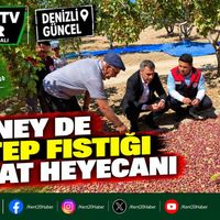 GENEL