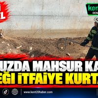 ASAYİŞ