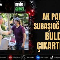 Politika