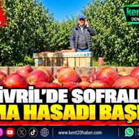 EKONOMİ