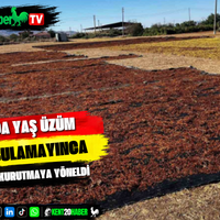 EKONOMİ