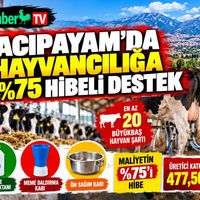 EKONOMİ