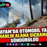 ASAYİŞ