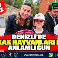 Politika