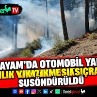 ASAYİŞ