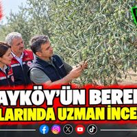 ÇEVRE