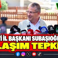 Politika