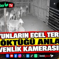 ASAYİŞ