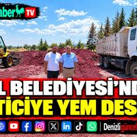 EKONOMİ