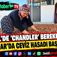 EKONOMİ