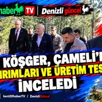 Politika