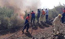 Denizli itfaiyesi Marmaris’teki yangın söndürme çalışmalarına destek veriyor