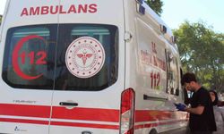 Asaf bebek Aydın’da meydana gelen trafik kazasında hayatını kaybetti