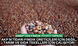 EMEP'ten fındık fiyatı tepkisi: AKP iktidarı fındık üreticileri için değil, tarım ve gıda tekelleri için çalışıyor!