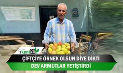 Çiftçiye örnek olsun diye dikti, dev armutlar yetiştirdi