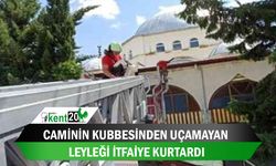 Caminin kubbesinden uçamayan leyleği itfaiye kurtardı