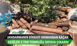 Jandarmanın dikkati ormandan kaçak kesilen 3 ton tomruğu ortaya çıkardı