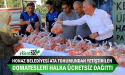 Honaz Belediyesi ata tohumundan yetiştirilen domatesleri halka ücretsiz dağıttı