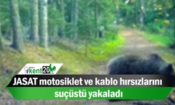 JASAT motosiklet ve kablo hırsızlarını suçüstü yakaladı