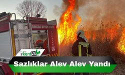 Sazlıklar alev alev yandı