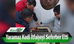 Yaramaz kedi itfaiyeyi seferber etti