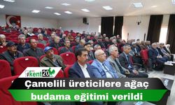 Çamelili üreticilere ağaç budama eğitimi verildi