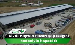 Çivril Hayvan Pazarı şap salgını nedeniyle kapatıldı