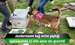 Jandarmanın bağ evine yaptığı operasyonda 11 kilo esrar ele geçirildi